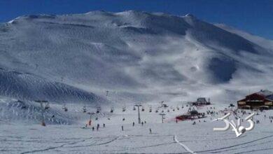 دختر پناهنده اسکی باز به ایران بازگشت +عکس