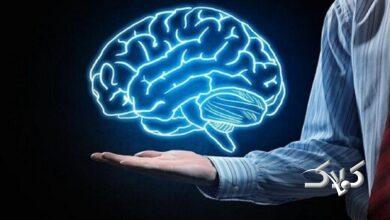 پیوند مغز؟ فعلا ممکن نیست!