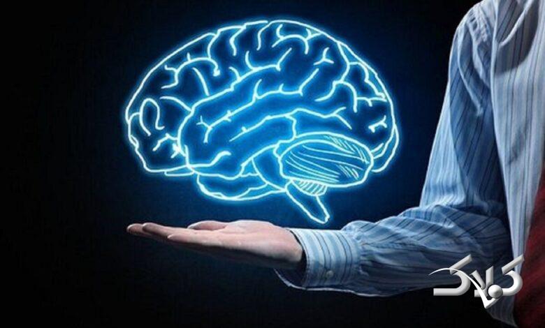 پیوند مغز؟ فعلا ممکن نیست!