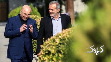 درخواست تلویحی دولت از مجلس؛ استیضاح را کنار بگذارید +ویدیو