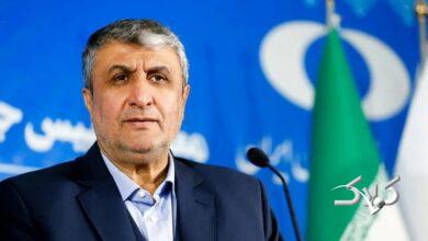 محمد اسلامی، رئیس سازمان انرژی اتمی