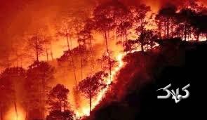 ویدیو| ۷۳ کشته و زخمی در آتش‌سوزی در هند