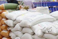 ارز ترجیحی برنج هم حذف شد؛ برای طغیان قیمت‌ها آماده باشیم؟