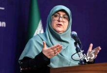 طرح بنزینی چه وقت اجرا می‌شود؟ سخنگوی دولت پاسخ داد +عکس