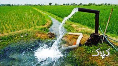 فرسایش ۸ برابری خاک در ایران؛ کشاورزی به خطر افتاد