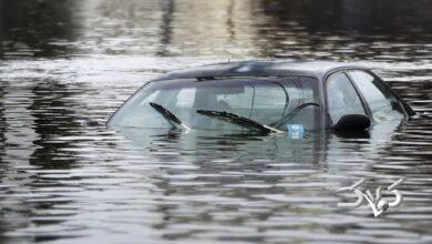 سازمان مدیریت بحران هشدار داد: خطر سیل در این استان‌ها جدی است +ویدیو