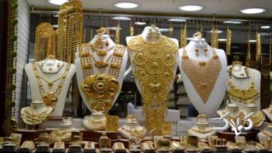 قیمت سکه و طلا امروز چهارشنبه ۱۲ آذر ۱۴۰۴ +جدول