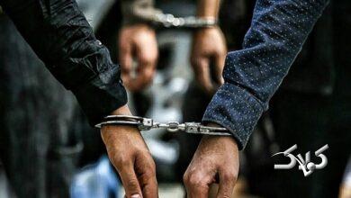 تازه‌ترین جزئیات از بازداشت بازیگر جنجالی؛ چه کسی او را لو داد؟