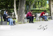 پدیده‌ای دردناک‌تر از بیکاری؛ فقر مهارتی در بازار کار چشم‌نوازی می‌کند