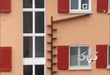 ویدیو| پلکان گربه‌ها در سوئیس سوژه شد