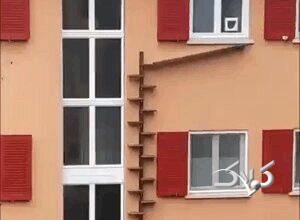 ویدیو| پلکان گربه‌ها در سوئیس سوژه شد