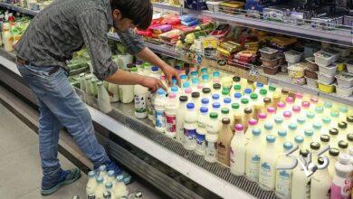 ویدیو| به داد مردم برسید؛ لبنیات در یک هفته ۳ بار گران شد!