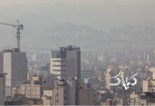 این مصوبه را هیچ کسی گردن نگرفت! +ویدیو