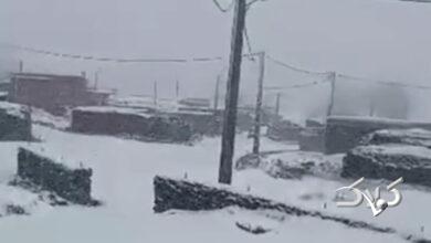 تصاویر چشم‌نواز از بارش برف در کشور را ببینید