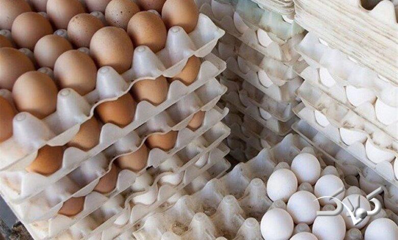قیمت تخم مرغ هم رکوردشکنی کرد!