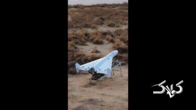 کپی پهپاد ایرانی توسط چینیها؛ محبوبیت «شاهد» به شرق آسیا رسید +ویدیو