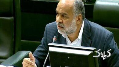 محمدرضا صباغیان، نماینده مجلس