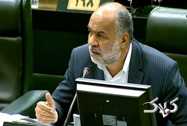 محمدرضا صباغیان، نماینده مجلس