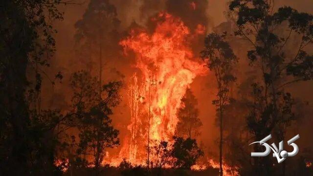 آتش به جان جنگل‌های استرالیا افتاد