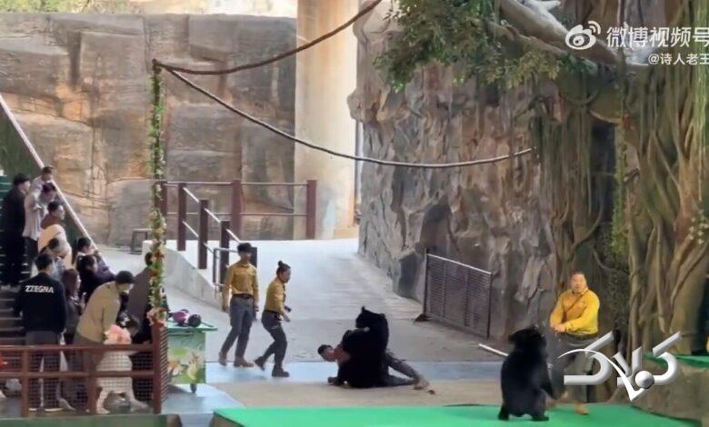 ۴۶ ثانیه فیلم نفسگیر از حمله خرس به کارگر باغوحش!