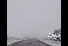 بارش شدید برف فضای این جاده را زمستانی کرد +ویدیو