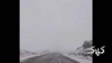 بارش شدید برف فضای این جاده را زمستانی کرد +ویدیو