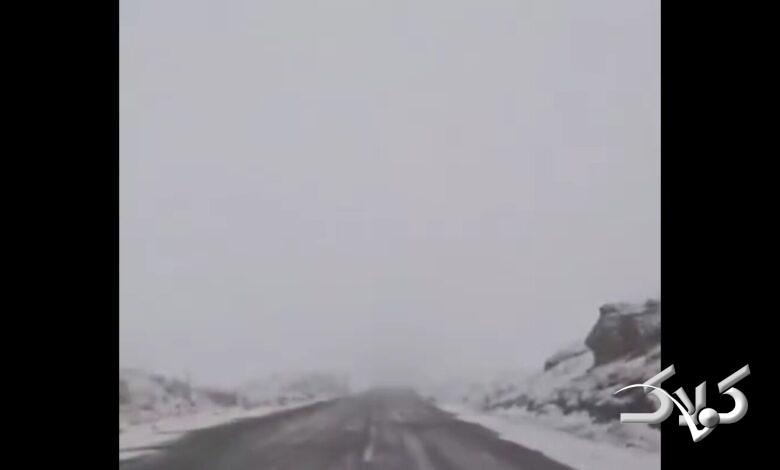 بارش شدید برف فضای این جاده را زمستانی کرد +ویدیو