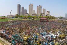 ویدیو| مدیریت ضعیف چینی‌ها دوچرخه‌ها را به گورستان برد