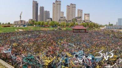 ویدیو| مدیریت ضعیف چینیها دوچرخهها را به گورستان برد