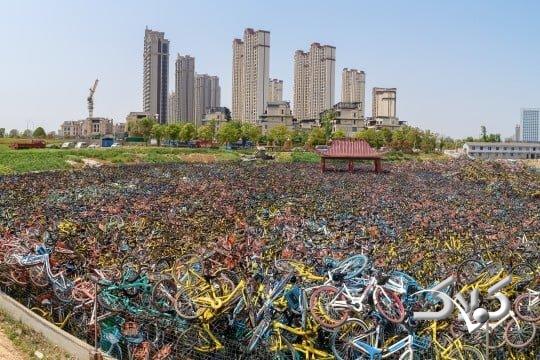 ویدیو| مدیریت ضعیف چینی‌ها دوچرخه‌ها را به گورستان برد