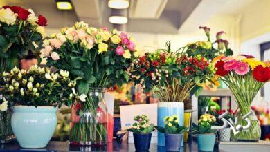 قیمت نجومی گل برای روز مادر؛ از سبد به تک شاخه رسیدیم!