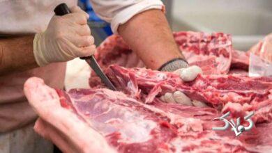 جزئیات تکاندهنده از کشف ۳ تن گوشت الاغ در تهران +ویدیو