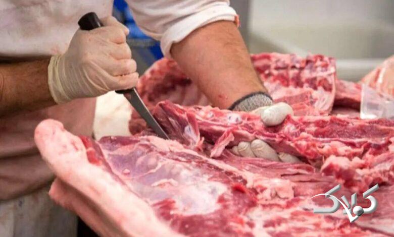 جزئیات تکاندهنده از کشف ۳ تن گوشت الاغ در تهران +ویدیو