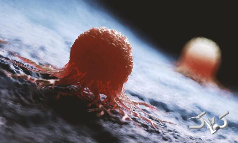 غذاهای ناسالمی که خطر ابتلا به این بیماری هولناک را افزایش میدهند