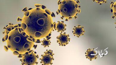 نگرانیها از جهش ویروس مرگبار اوج گرفت