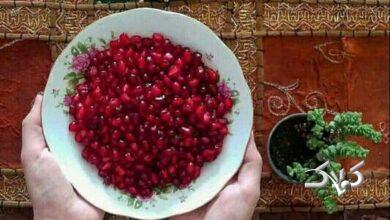 خوراکی های شب یلدا