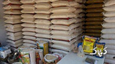 نوسان قیمت برنج متوقف شد