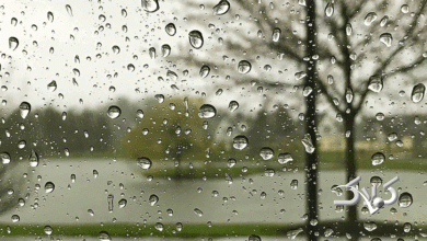 رگبار باران در ۱۳ استان کشور