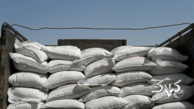 آرد نانوایی