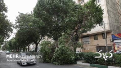 سرعت وزش باد در اردبیل به ۱۰۰ کیلومتر برساعت میرسد