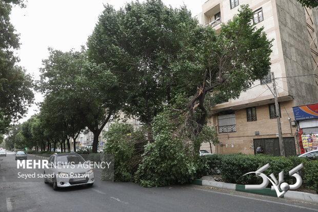 سرعت وزش باد در اردبیل به ۱۰۰ کیلومتر برساعت میرسد