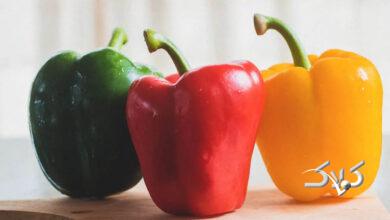 bell pepper - فلفل دلمه ای