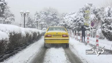 تهران با بارش برف سپید پوش شد