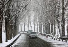 تهران با بارش برف سپید پوش شد