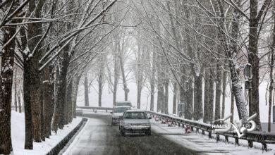 تهران با بارش برف سپید پوش شد