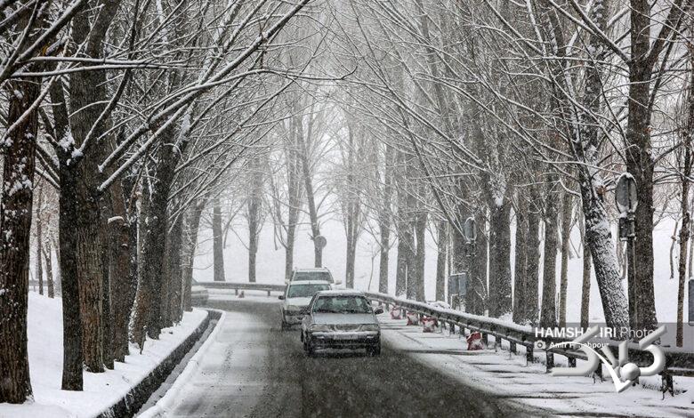 تهران با بارش برف سپید پوش شد