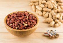 بادام زمینی