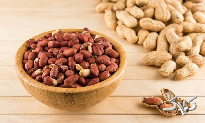 بادام زمینی