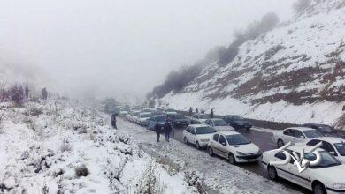 بارش برف - جاده