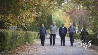 شهر سالمندان